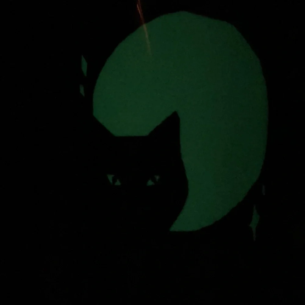 Starbucks Limited Edition 2021 Glow-in-the-Dark Tumbler
